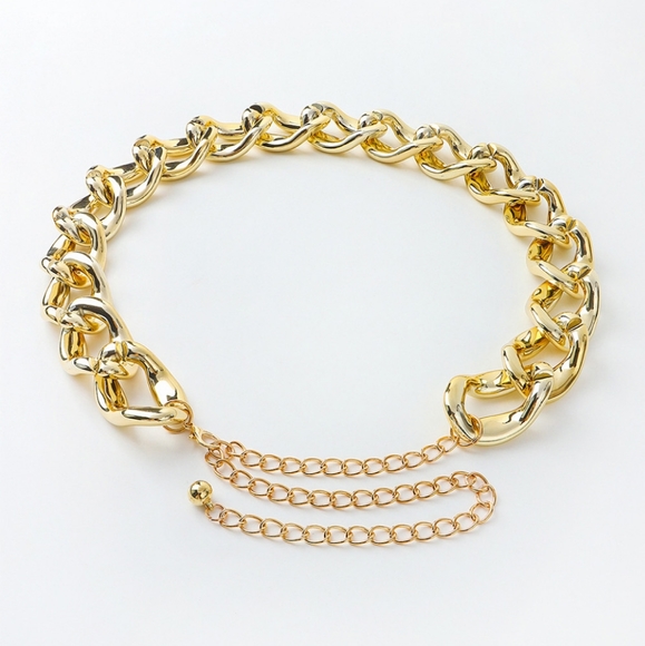 Silver Chain Belt - Picture 4 of 4